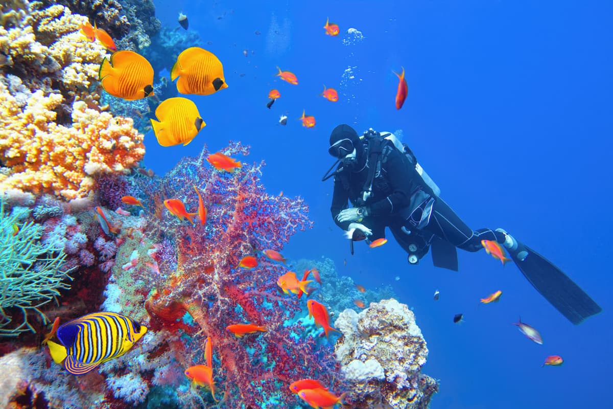  ¿Buscas los mejores equipos de buceo en A Coruña?