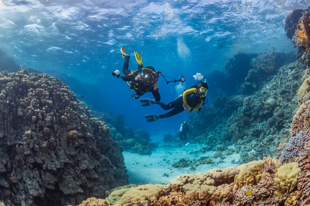  Artículos de iluminación y fotografía para buceo en A Coruña